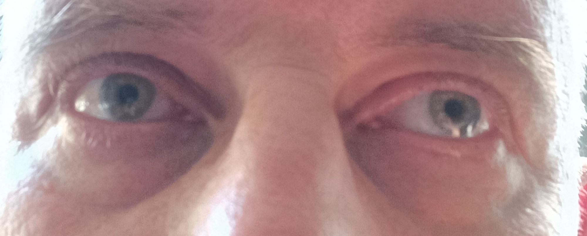 Profil Voissa De Alsacien67 Profil Voissa De Alsacien67